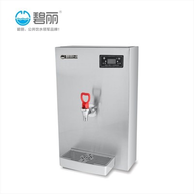 碧丽开饮机办公茶厅开水机泡茶咖啡热水壶壁挂开水器图片_高清图_细节图